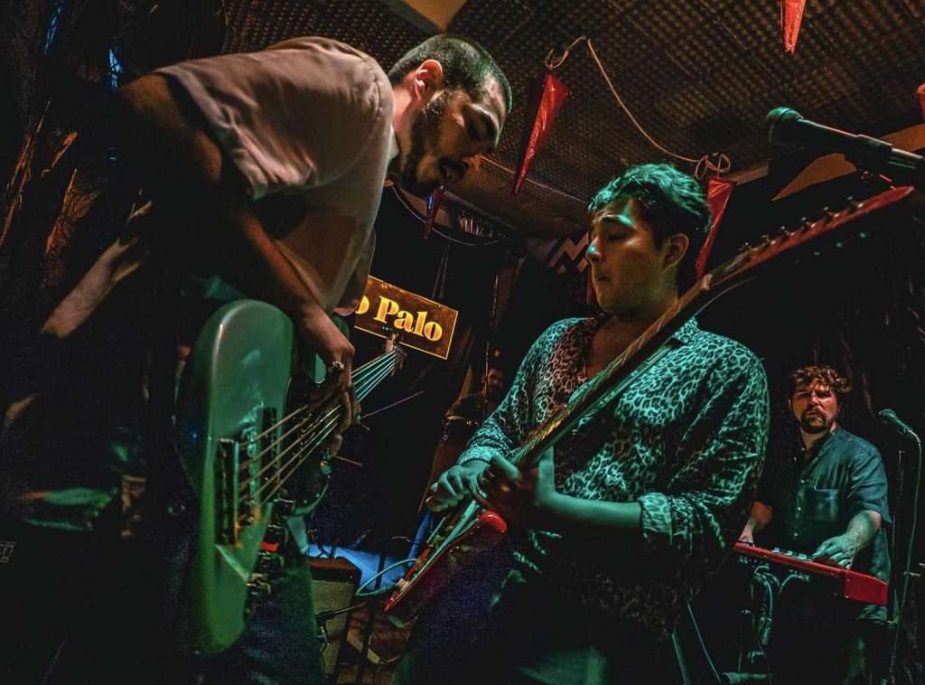 Noah-Pino-Palo-el-cuarteto-sensación-se-prepara-para-lanzar-Selvas