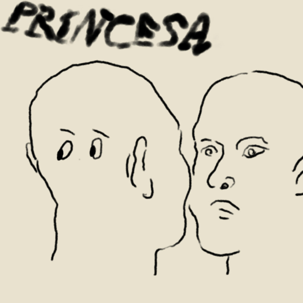 meme del real princesa